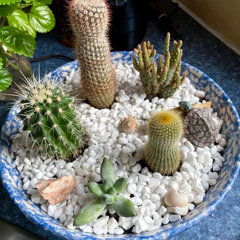 100/300/500 g de Pedrinhas Brancas Decorativas para Plantas – Pedras de Rio Naturais para Paisagismo de Jardim, Cultivo de Suculentas & Vasos de Cactos